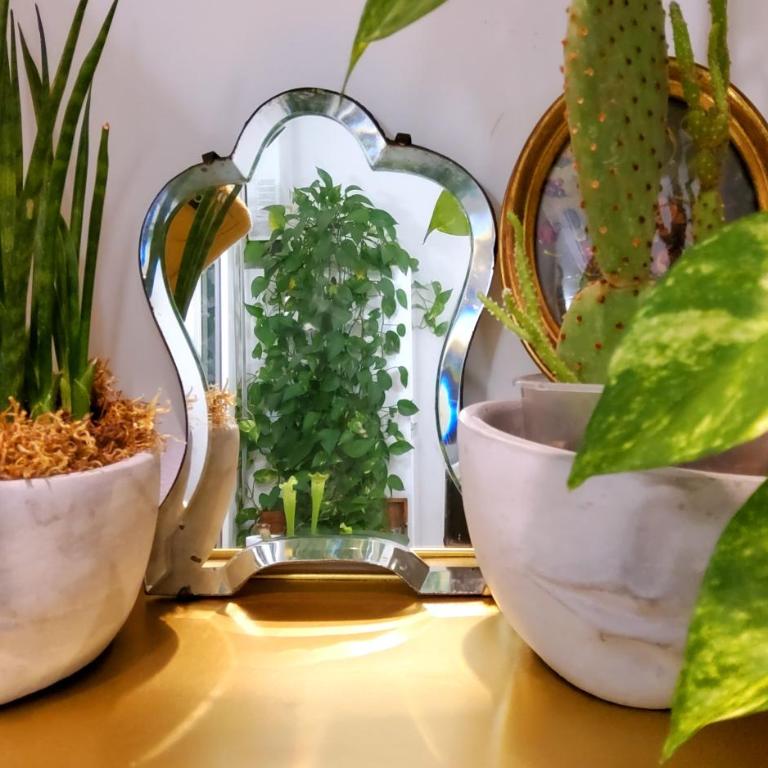 La Casa degli Specchi - One-Bedroom Apartment - 42