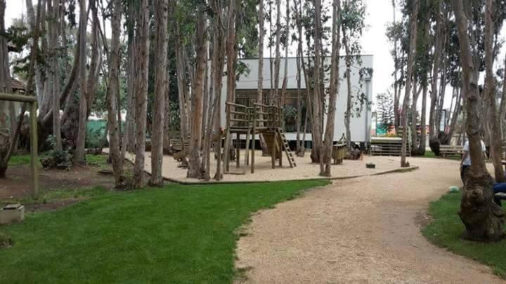 Dpto Algarrobo - Apartamento de 3 dormitorios - 30