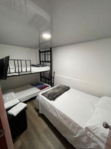 Hotel Aaron FILANDIA - Habitación Familiar Superior - 3