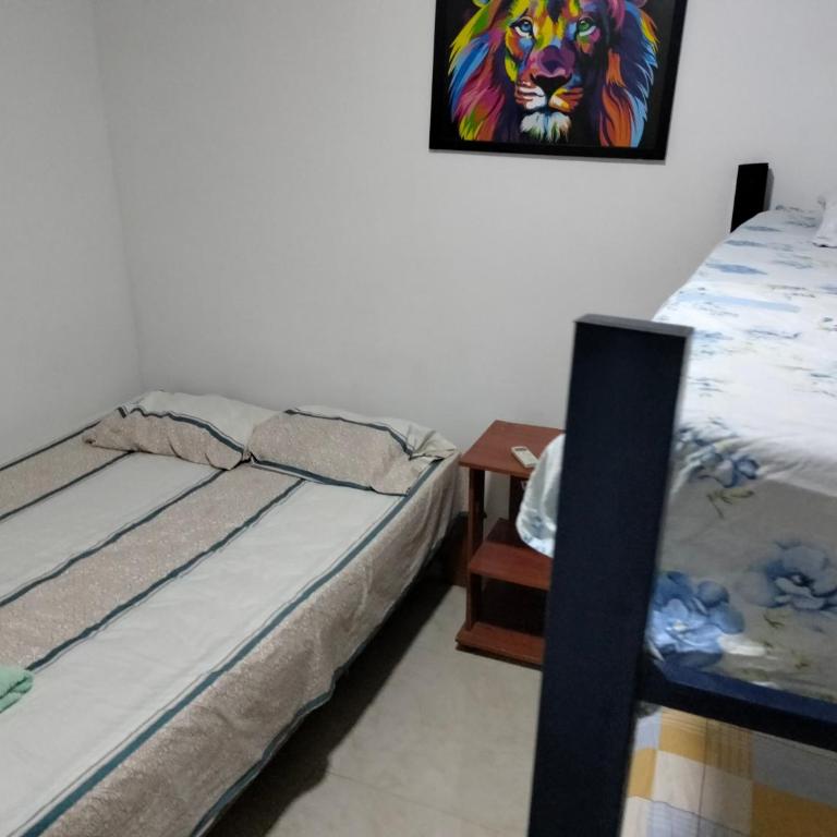 Apartamento Fania - Apartamento de 2 dormitorios - 17