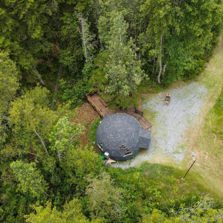 Hermoso domo en altura entre el bosque nativo + tinaja privada - One-Bedroom House - 4