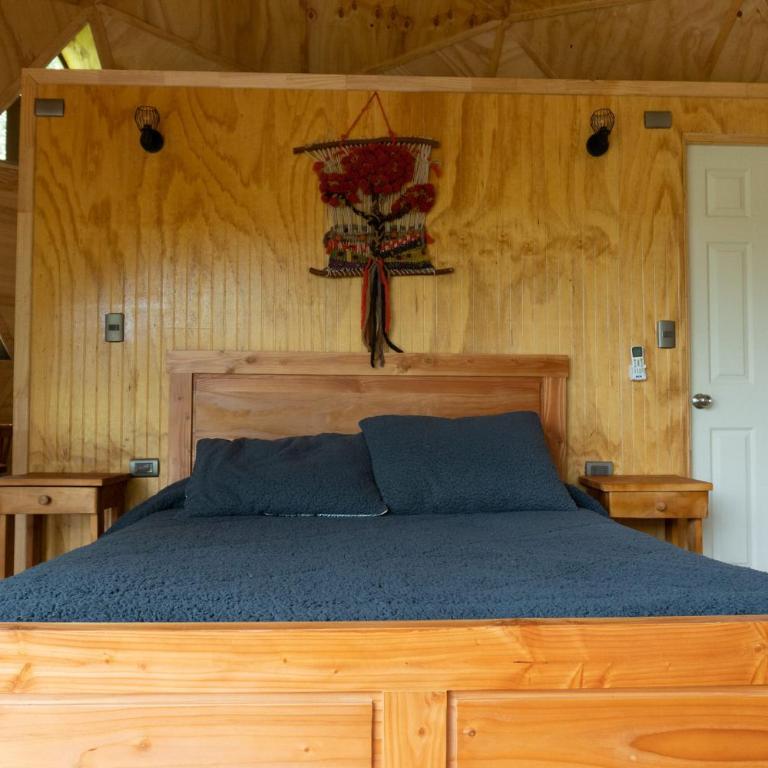 Hermoso domo en altura entre el bosque nativo + tinaja privada - One-Bedroom House - 13
