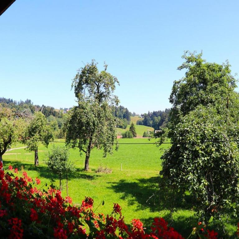 Ferienwohnungen Berger - Appartamento con Vista Giardino - 8