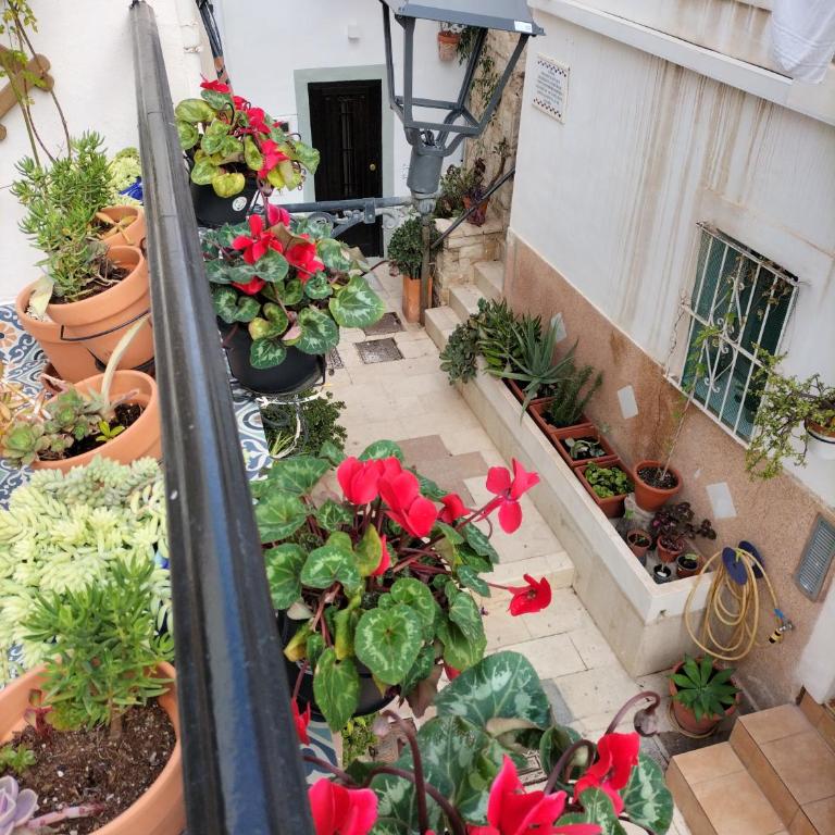 Private Terrace-Romantic-Sea, Castle views-Central - One-Bedroom House - 22