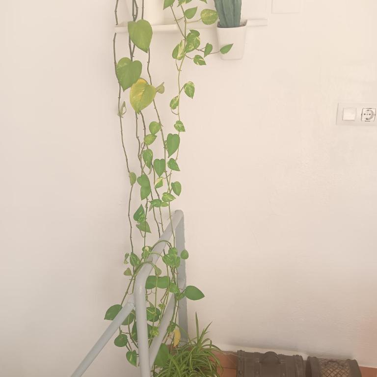 El Terrat de la Tecla - Dúplex Casc Antic - Apartamento de 2 dormitorios - 26