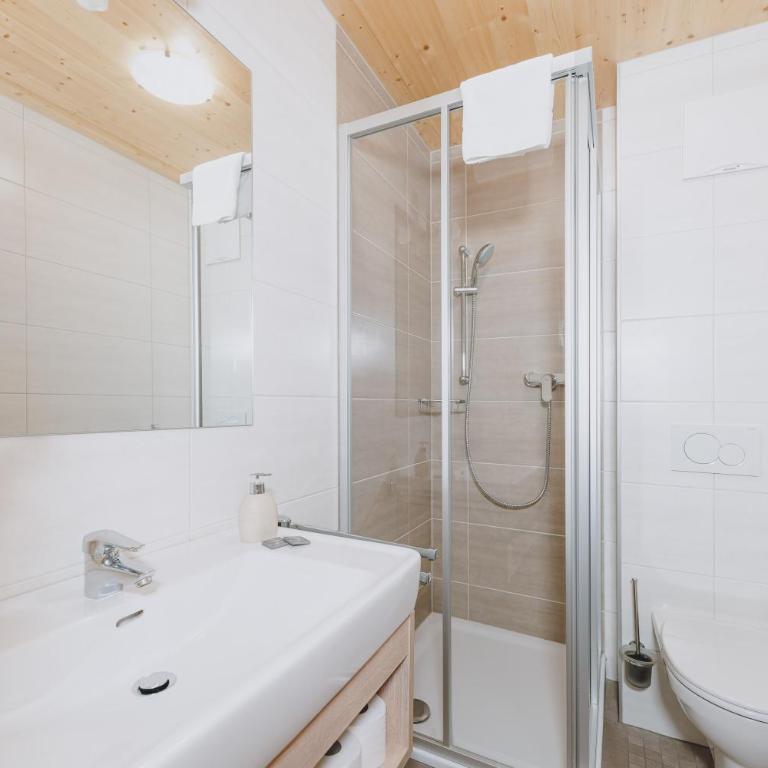 Appartements Sulzer by we rent, SUMMERCARD INCLUDED - Studio-Apartment mit Balkon - 2