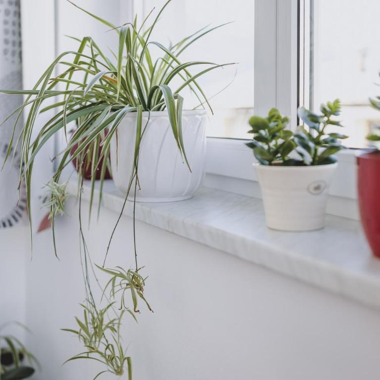Appartements Sulzer by we rent, SUMMERCARD INCLUDED - Penthouse-Apartment mit 3 Schlafzimmern und Terrasse - 23