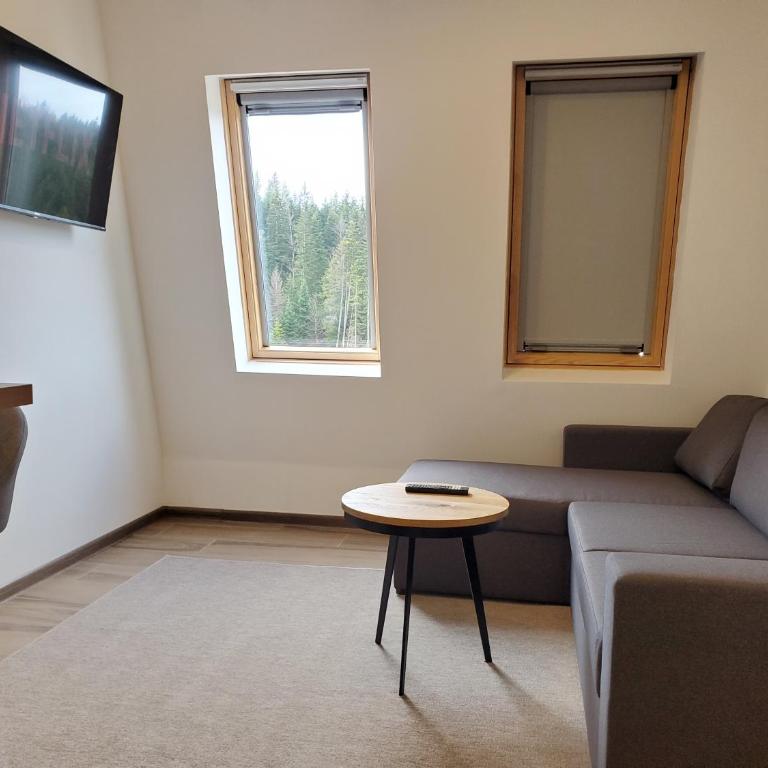 Apartman Green - Ravna planina - One-Bedroom Apartment - 15