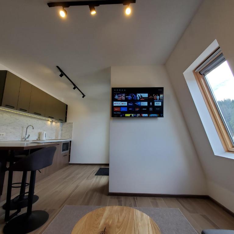 Apartman Green - Ravna planina - One-Bedroom Apartment - 13