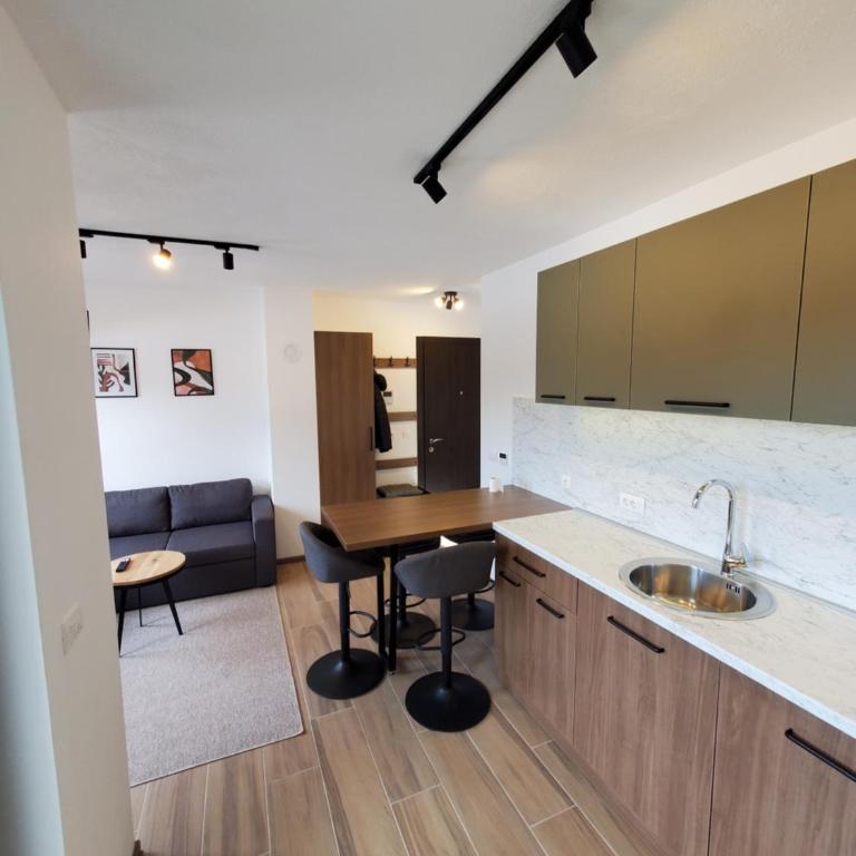 Apartman Green - Ravna planina - One-Bedroom Apartment - 14