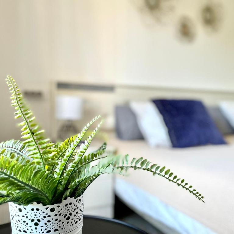 Riviera by the beach 2 bedroom Apartment - Apartamento de 2 dormitorios - 33
