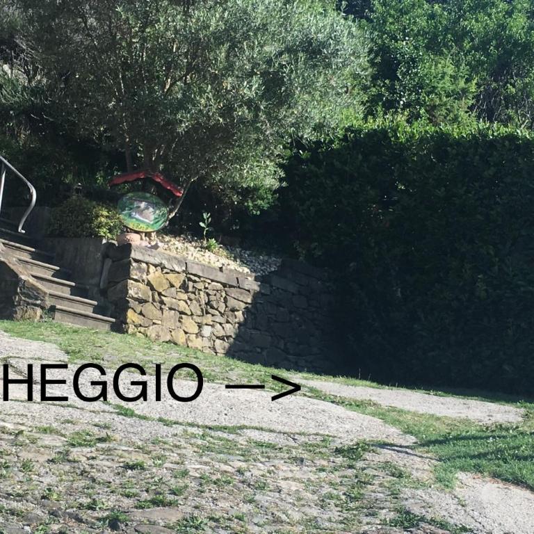 Dimora del Riccio - Camera Matrimoniale/Doppia con Letti Singoli con Bagno Privato Esterno - 18