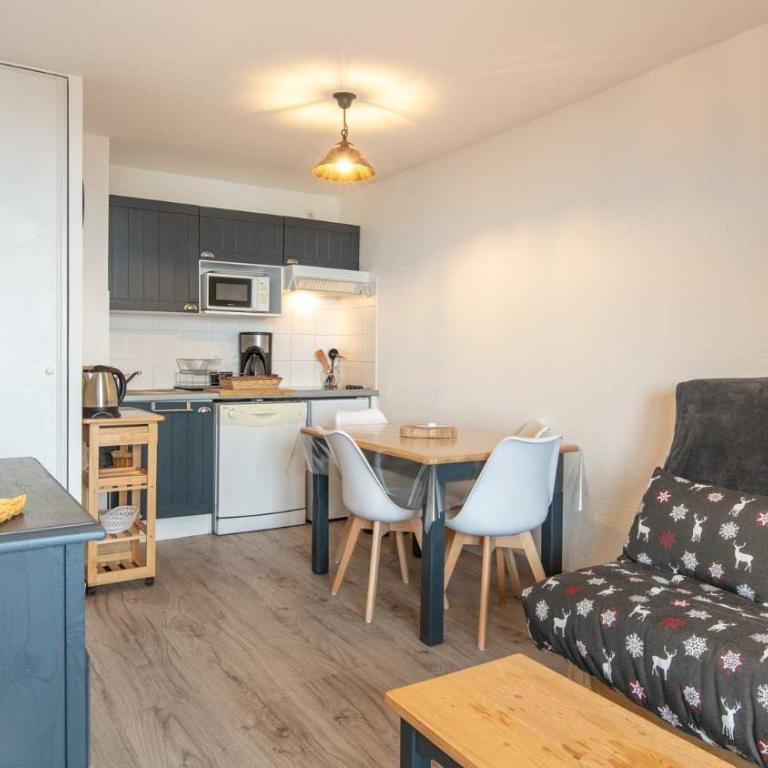 Les Tetras - 63 - Studio moderne - 4 pers - Studio - 16