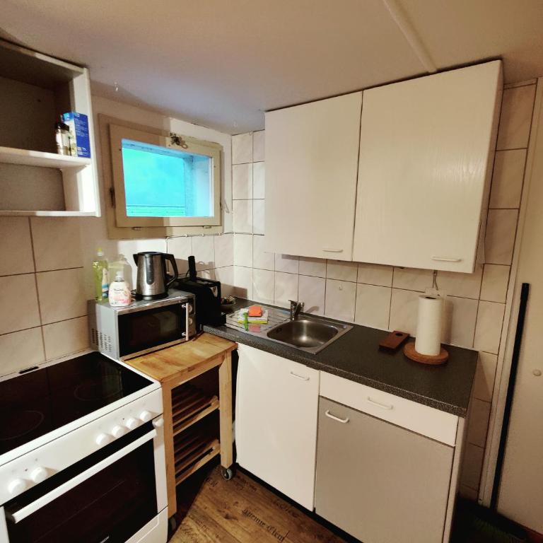 Downtown Apartments - DownTown 54 (Harderstrasse 44, 3800 Interlaken) - 4