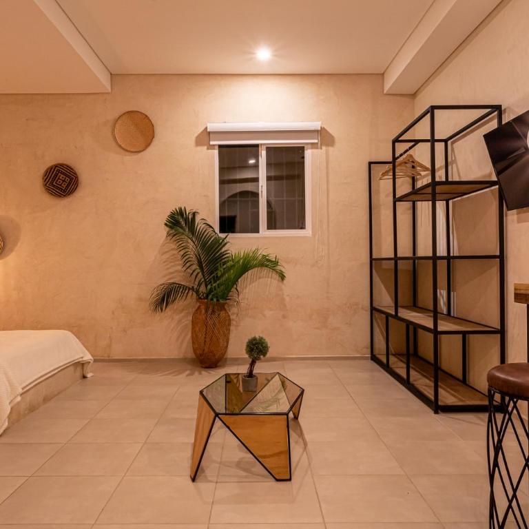 Soy Local Santa Marta - Loft - 3