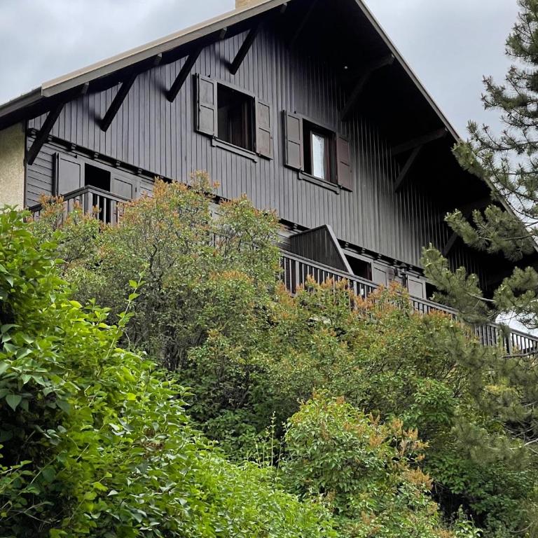 Serre Chevalier Chantemerle grand appartement 150 m2 dans chalet familial - Appartement - 5