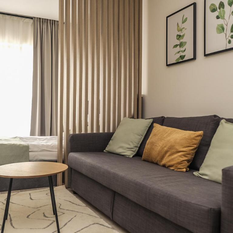 Milmari Apartments Pahulja N Lux - One-Bedroom Apartment - 18