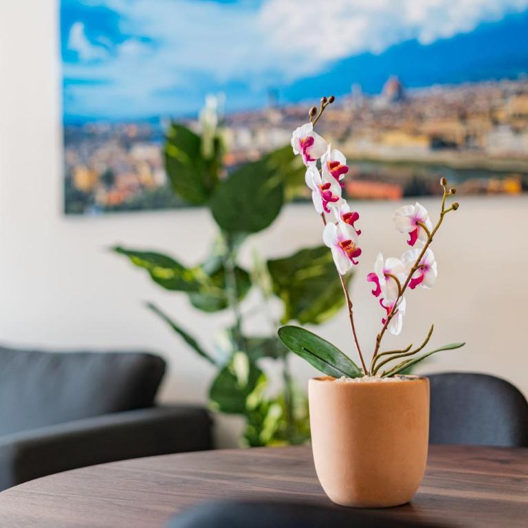 Roma Norte Apartments by VH - Loft - 2