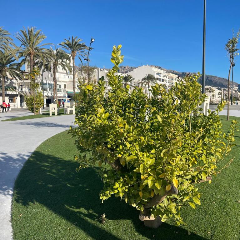 Apartamento Alteagroup Centro - Apartamento de 2 dormitorios - 21
