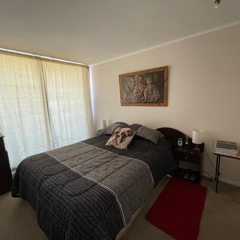 Comodo departamento en el centro de Viña - One-Bedroom Apartment - 11