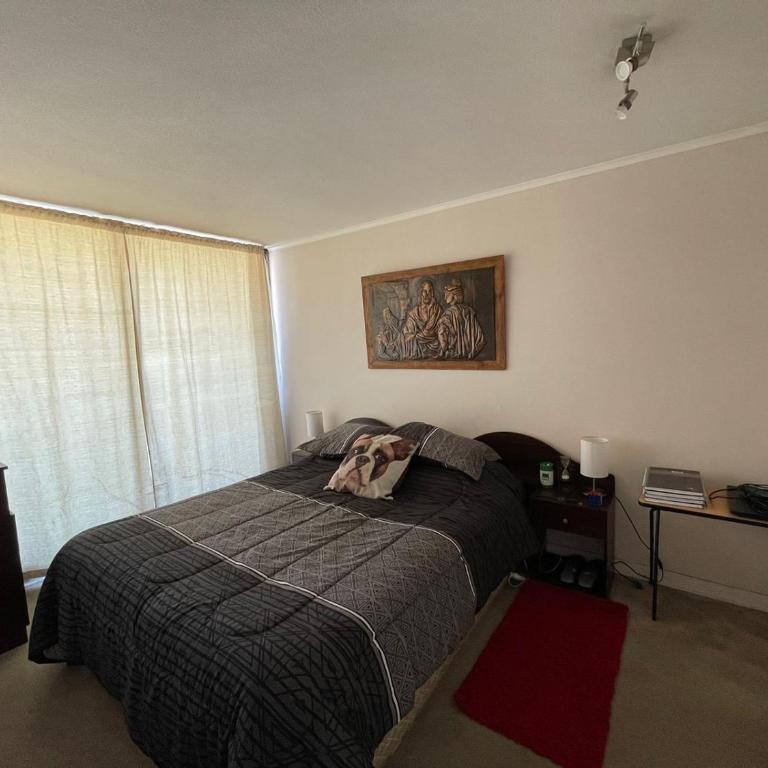 Comodo departamento en el centro de Viña - One-Bedroom Apartment - 13