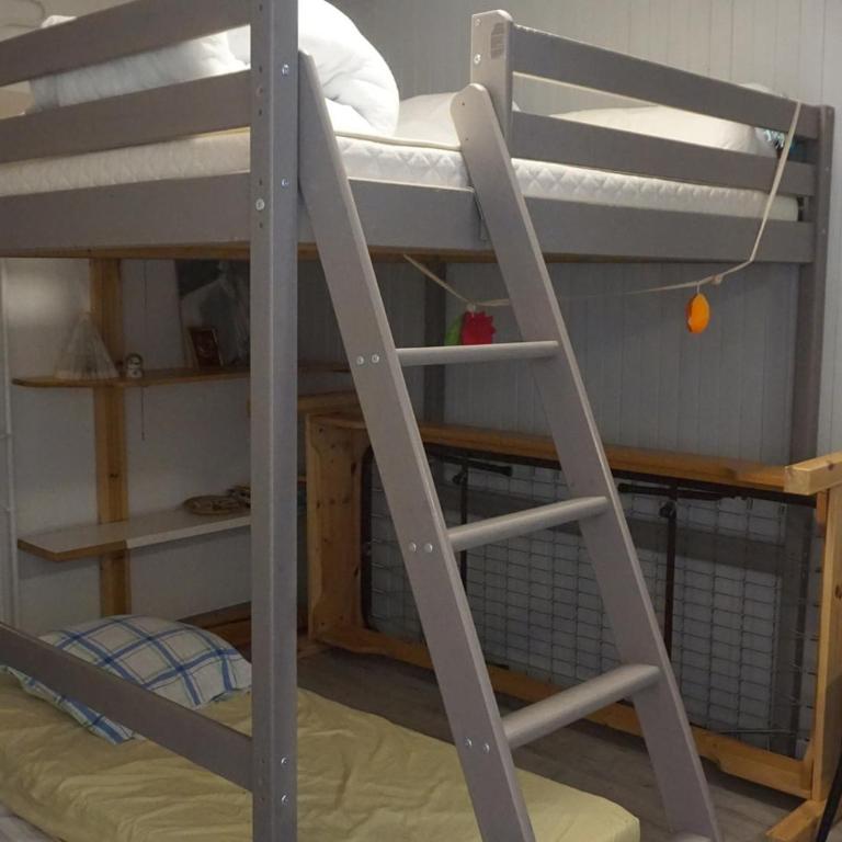 T3 60m² 6/7 pers à 50m des pistes, animaux acceptés, linge inclus hiver - FR-1-636-222 - Apartamento - 5