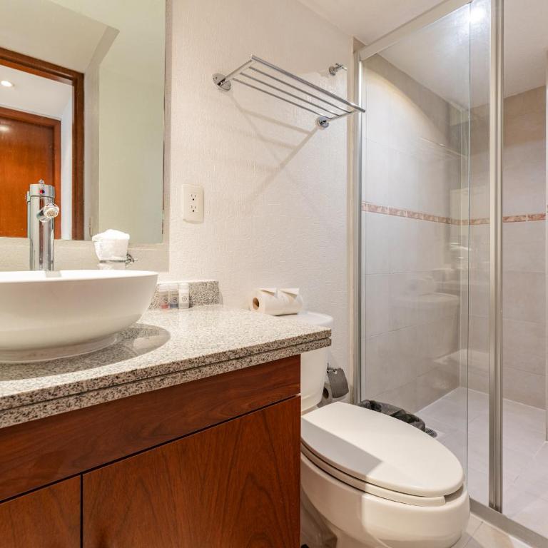 Anahuac Apartments by VH - Apartment with Balcony - 25