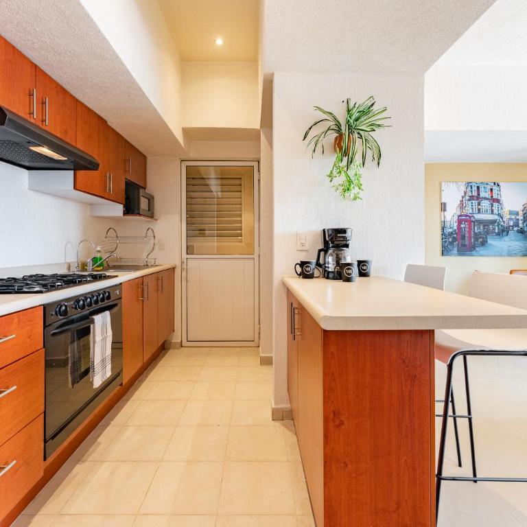 Anahuac Apartments by VH - Apartment with Balcony - 3