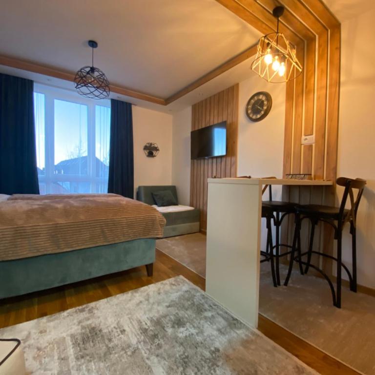 Jankov konak - Apartman sa 1 Spavaćom Sobom - 4
