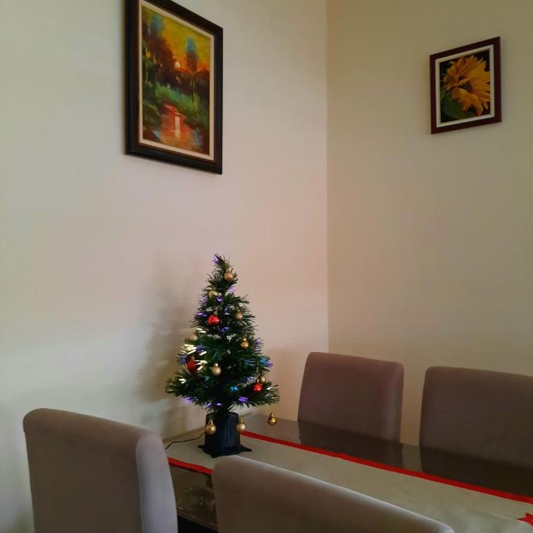 Apartman Ana - Apartman sa 1 Spavaćom Sobom - 9