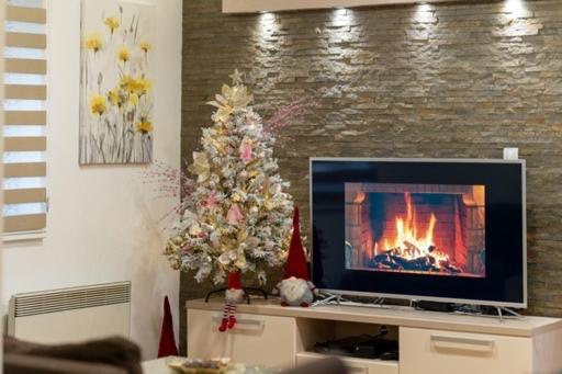 Apartman Golden Dream Zlatibor - Apartman sa 1 Spavaćom Sobom - 5