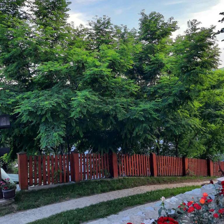Mrdja Apartments - Apartman sa 2 Spavaće Sobe - 19