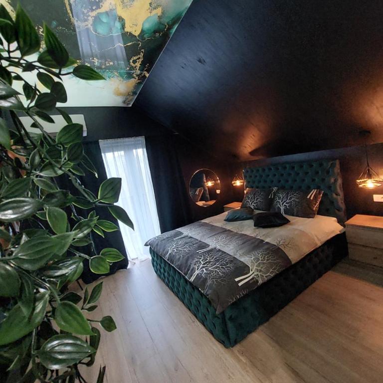 Stars lux room - Apartman sa 1 Spavaćom Sobom - 2