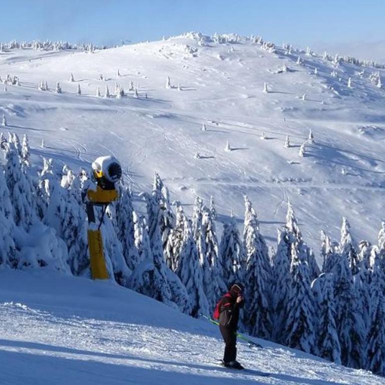 Nest studio Milmari Kopaonik - One-Bedroom Apartment - 7