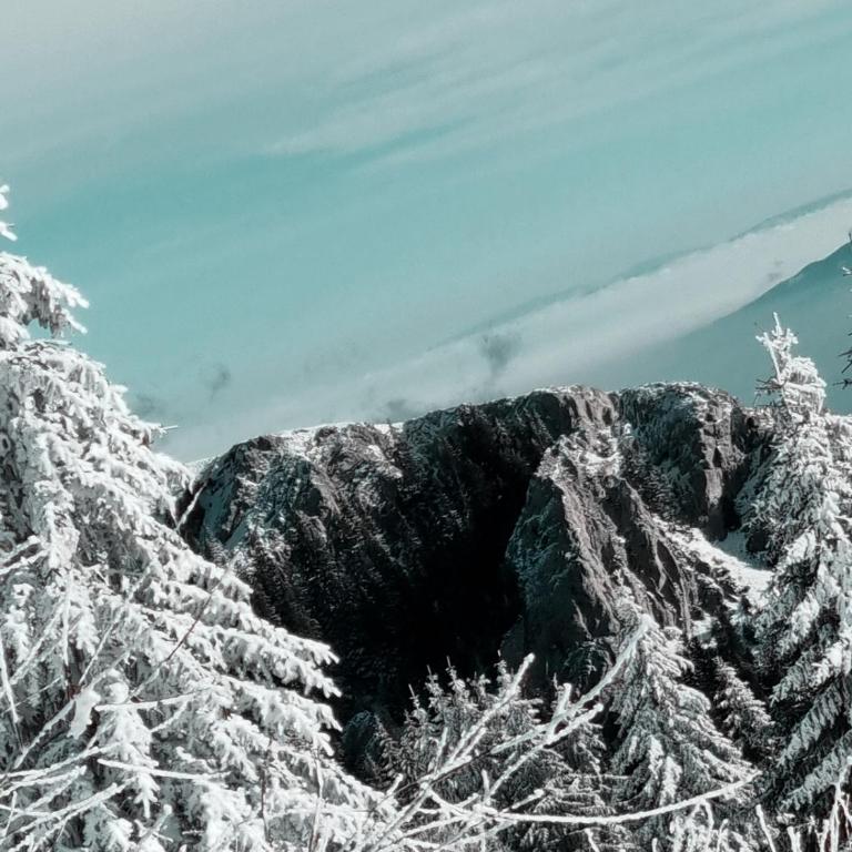 Nest studio Milmari Kopaonik - One-Bedroom Apartment - 23