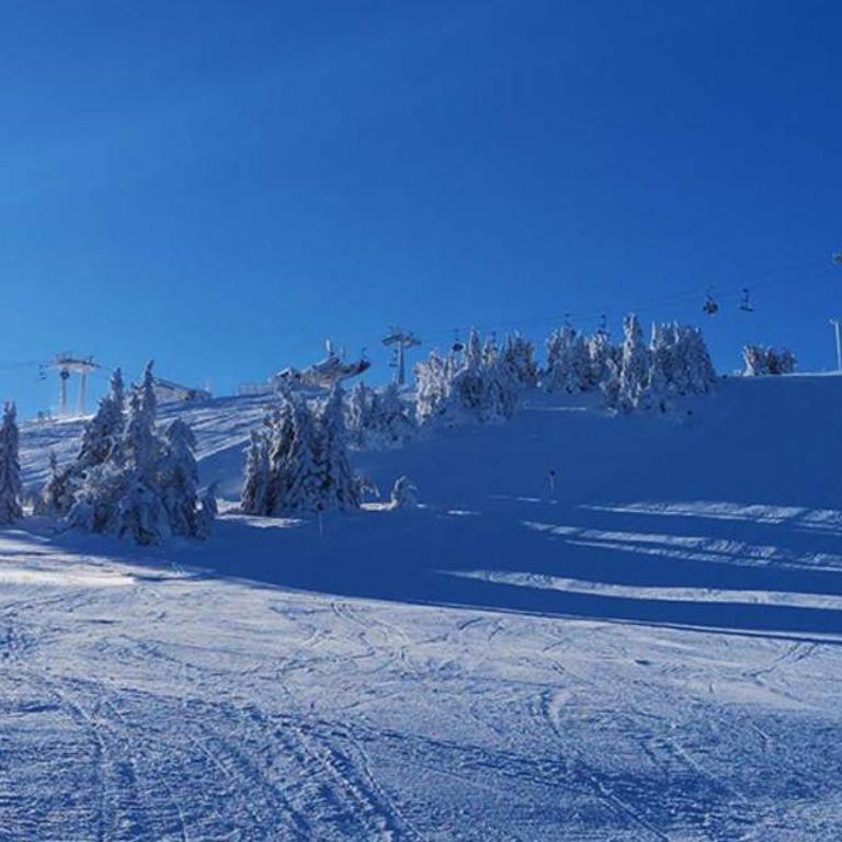 Nest studio Milmari Kopaonik - One-Bedroom Apartment - 26