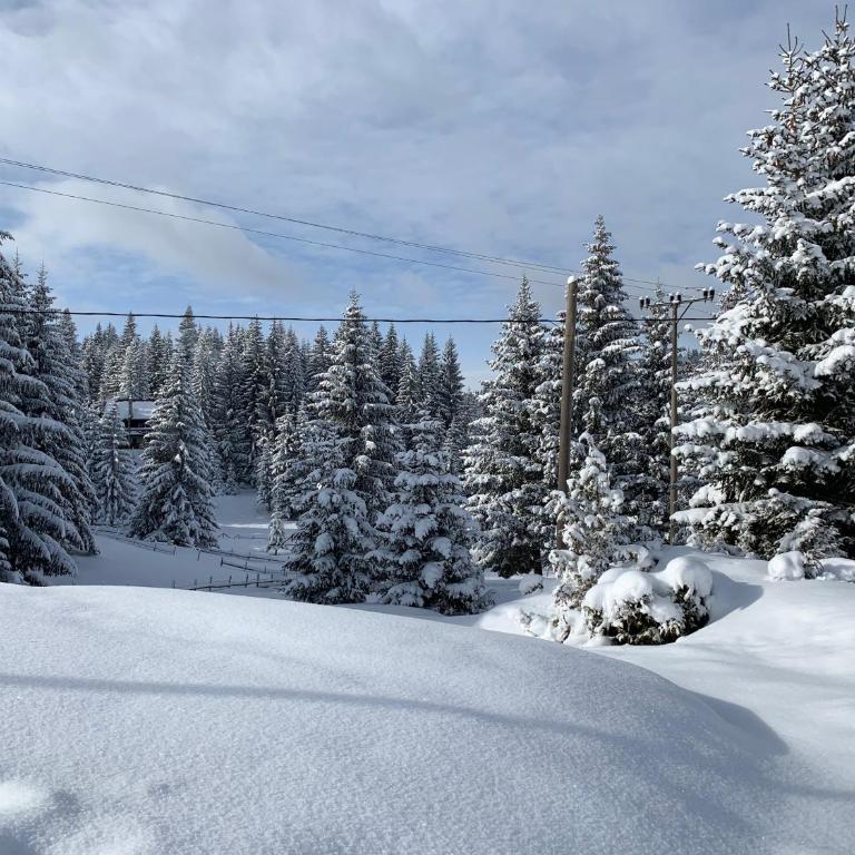 Šumski raj Jahorina - Apartman - Prizemlje - 2