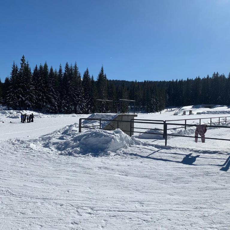 Šumski raj Jahorina - Apartman - Prizemlje - 4