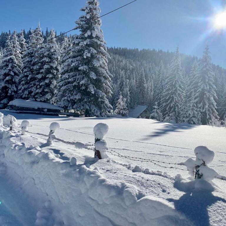 Šumski raj Jahorina - Apartman - Prizemlje - 5