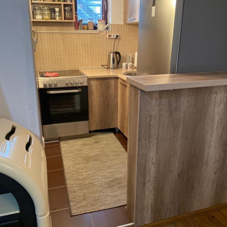 Šumski raj Jahorina - Apartman - Prizemlje - 11