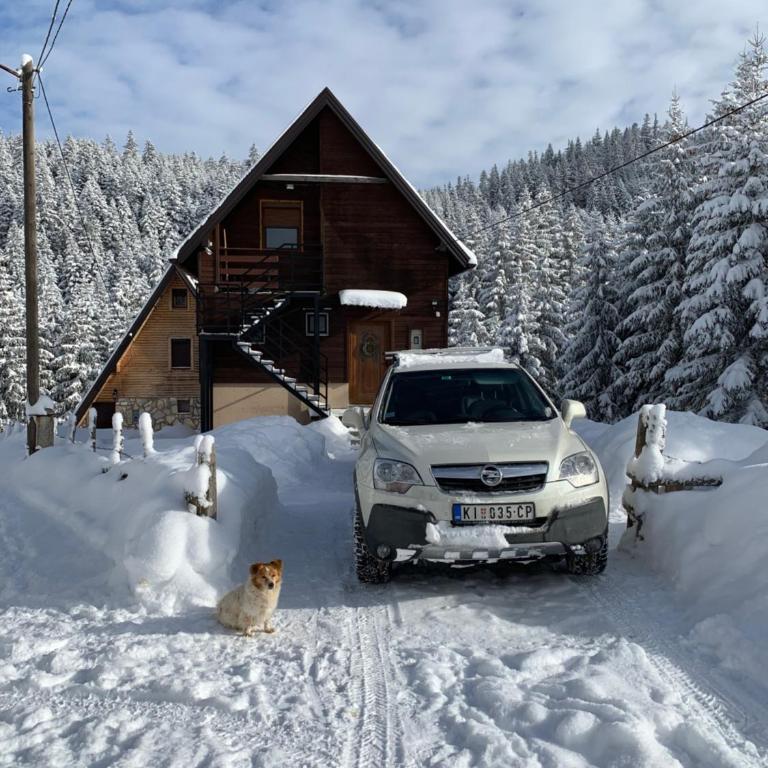 Šumski raj Jahorina - Apartman - Prizemlje - 13