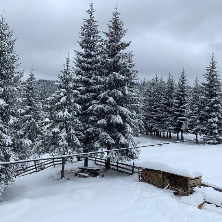 Šumski raj Jahorina - Apartman - Prizemlje - 17