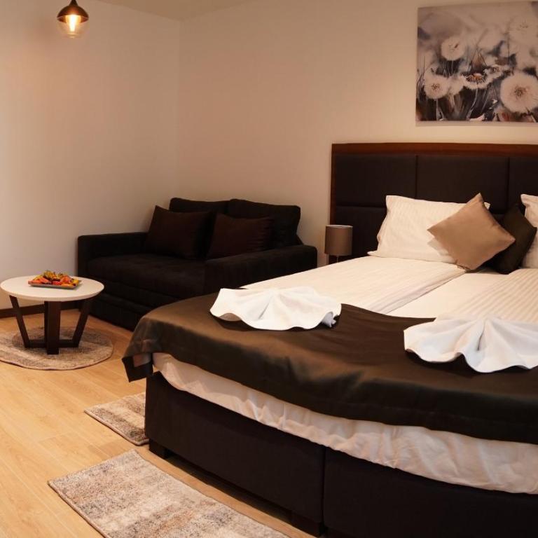 Velvet Studio Zoned Kopaonik - Apartment - 12