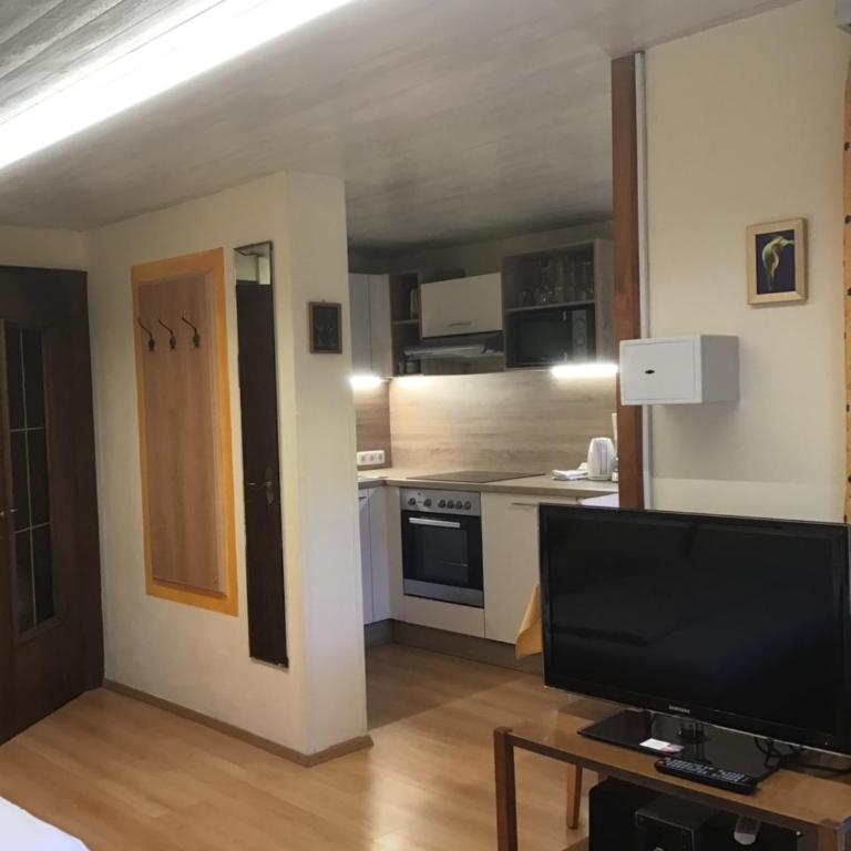 Alpbach Apartments - Sunflower - Two-Bedroom Apartment - 7