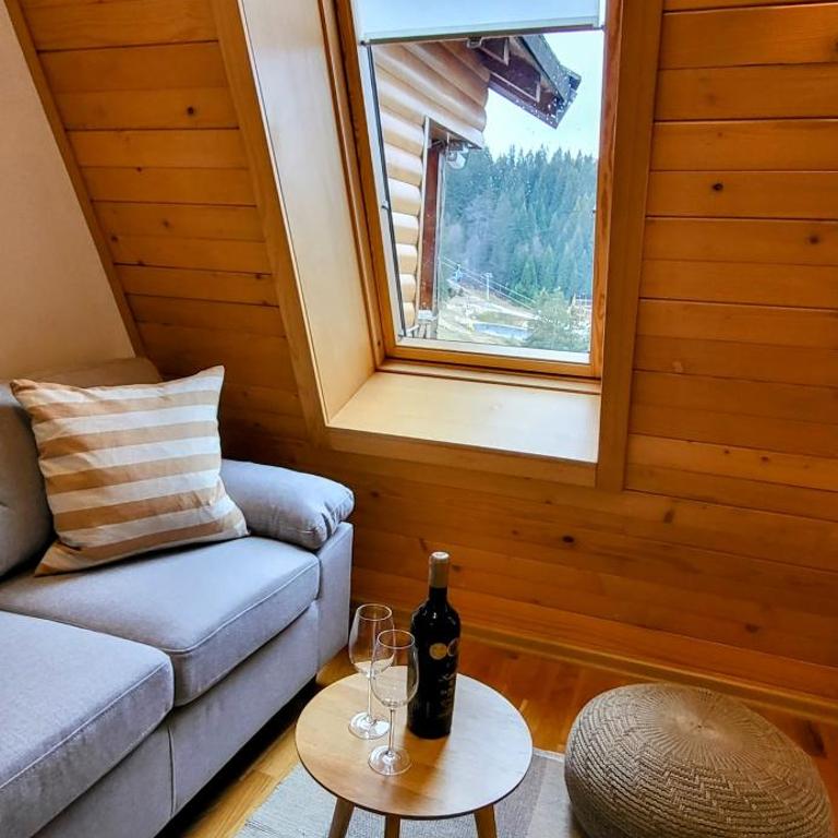 Apartment 533 in Aparthotel Vucko Jahorina - Private host - Apartment - 1