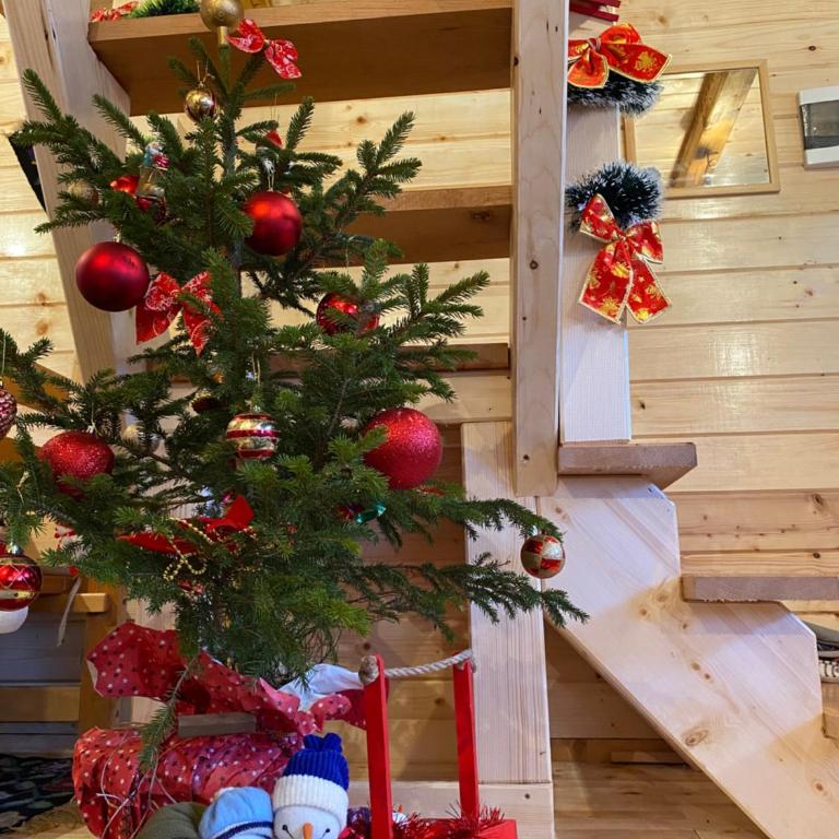 Etno kuća ''Nada'' - Two-Bedroom Chalet - 17