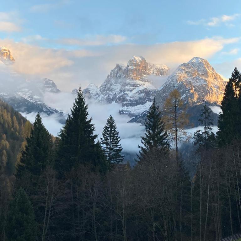 Grazioso Monolocale a Campiglio! - Appartamento con 1 Camera da Letto - 15