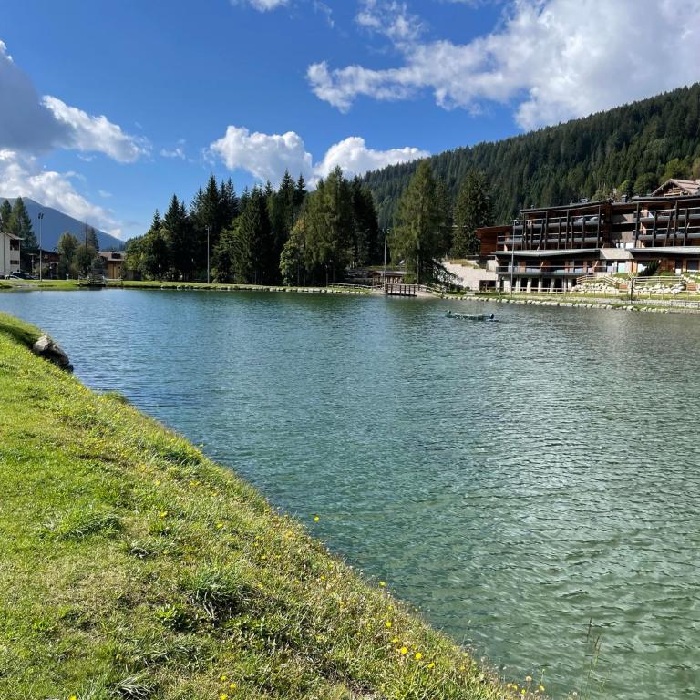 Grazioso Monolocale a Campiglio! - Appartamento con 1 Camera da Letto - 17