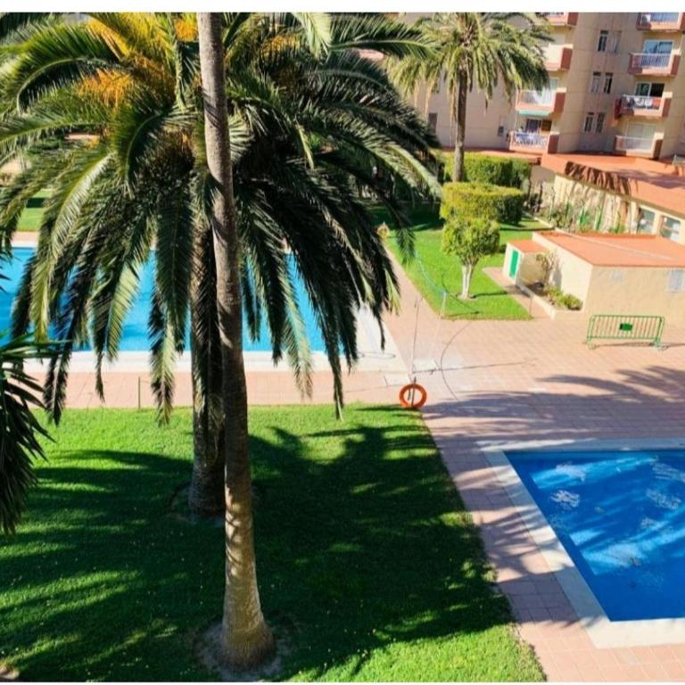 apartamento las Gondolas - Apartamento de 1 dormitorio - 17