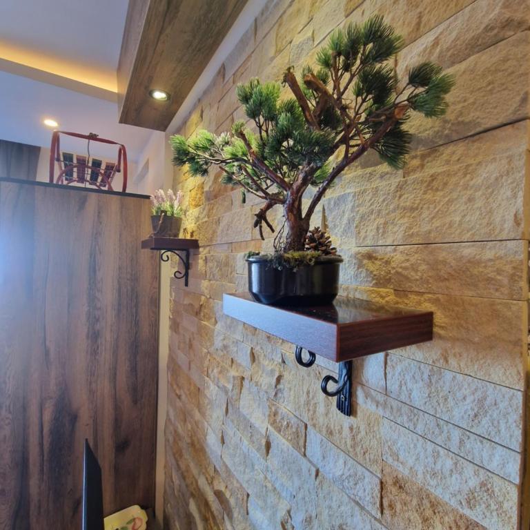 Milmari Pahulja - One-Bedroom Apartment - 8